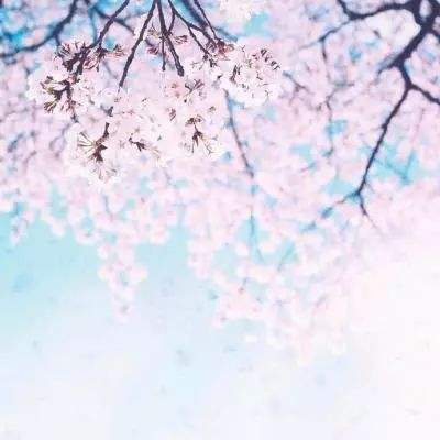 魔兽挂机游戏下载