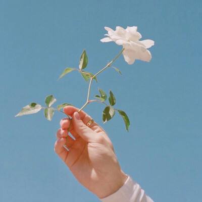 火把之光游戏下载